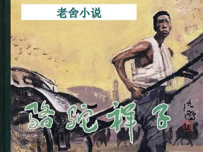 91成版人抖音